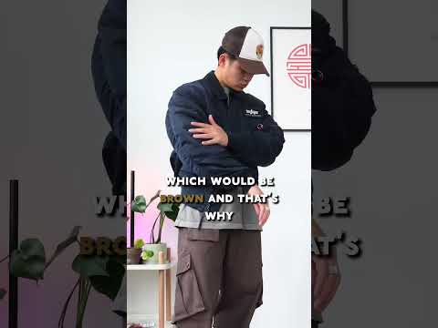 Video: Kā valkāt bumbvedēja jaku: 9 soļi (ar attēliem)