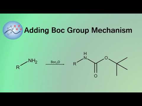 Adding Boc Group Mechanism | Organic Chemistry