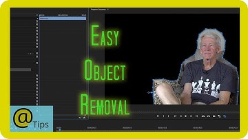 Removing Unwanted Moving Objects from Video