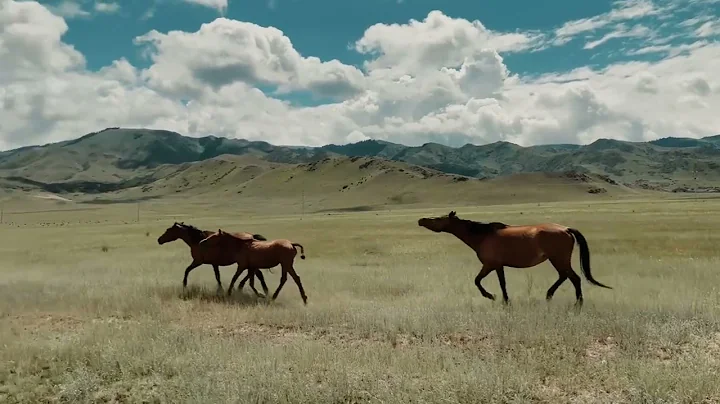 Kazakhstan 2022