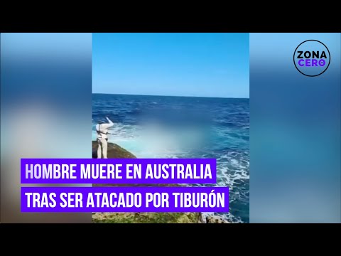 Hombre fue devorado por un tiburón blanco en Australia