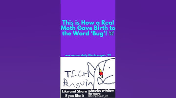 Why Are Bugs Called Bugs? #computerscience