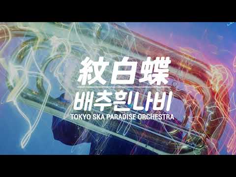 TOKYO SKA PARADISE ORCHESTRA - 배추흰나비(紋白蝶) (feat.이시하라 신야 of Saucy dog) [가사/한글자막/해석]