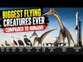 Biggest Flying Creatures Ever Compared to Humans