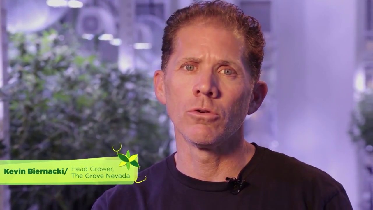 Heliospectra and The Grove Nevada: The Real Experience