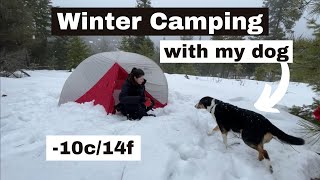 Tips & Gear For Your Dog | WINTER CAMPING | How to stay warm