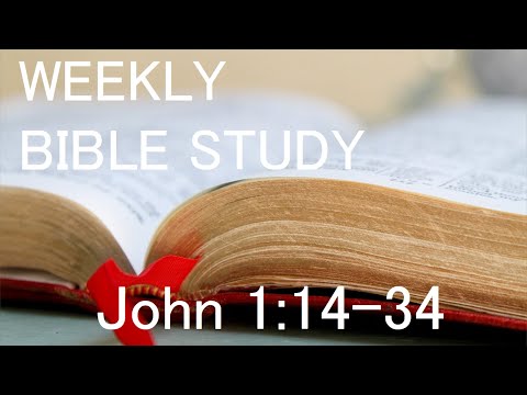 Weekly Bible Study