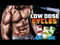 LOW DOSE CYCLES