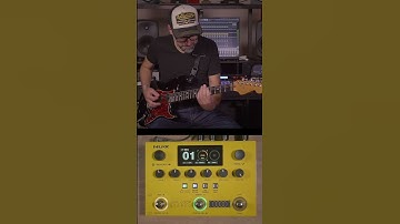 Creating a Loop with the Nux Dual Loop Stereo