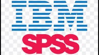 Enter data and define variables in SPSS Net Worth