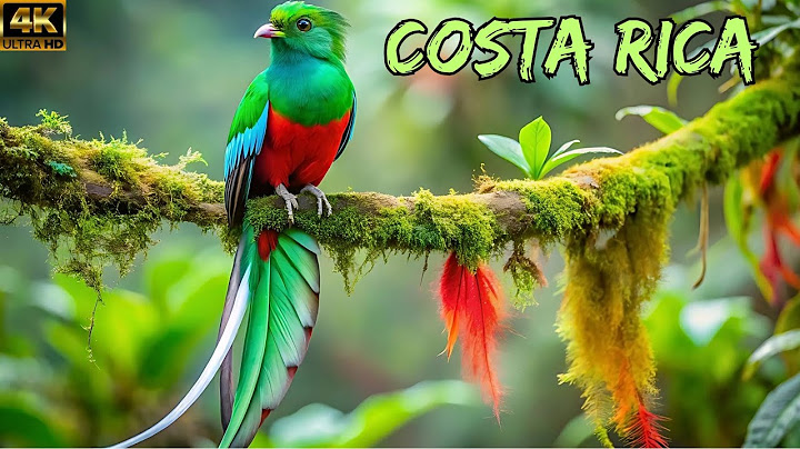 In the Deep Nature of Costa Rica: Touring the Most Brutal Land Where the Wild Reigns