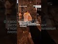 В Москве парень заступился за женщину и получил админпротокол