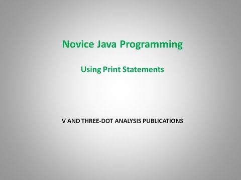 Novice Java Programming   Using Print Statements
