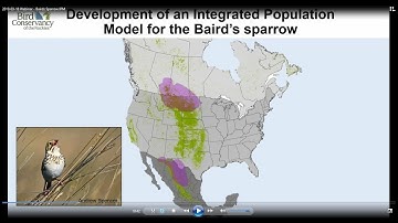 Integrated Population Model for Baird