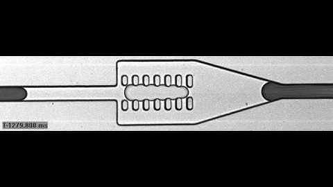Pillar-induced droplet merging in a microfluidic channel