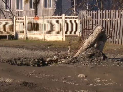 ფოთში, ქორქიას ქუჩის მცხოვრებლები ავარიული გზის შეკეთებას ითხოვენ 9 02 2016