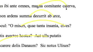Aeneid 2.40-44 translation
