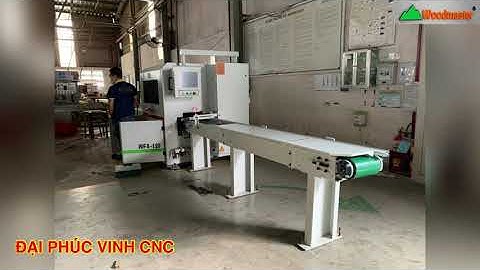 MÁY CẮT NGANG KHUYẾT TẬT VẠCH PHẤN CAO TỐC WFS-120 Woodmaster