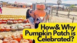 Pumpkin Patch  & Corn Maze in California | Spina Farms