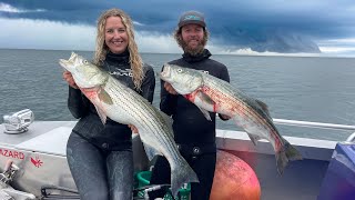 Spearing Stripers in Montauk | Fish Outta Water | CCC