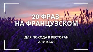 Уроки французского 20 фраз для похода в ресторан или кафе