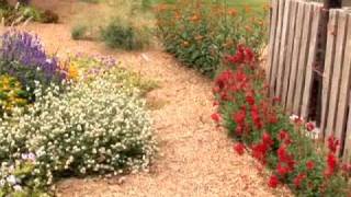 Mulch: Beneficial for Flowerbeds