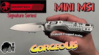 Yes, this is the one! My Titanium frag scaled Mini MSI knife!