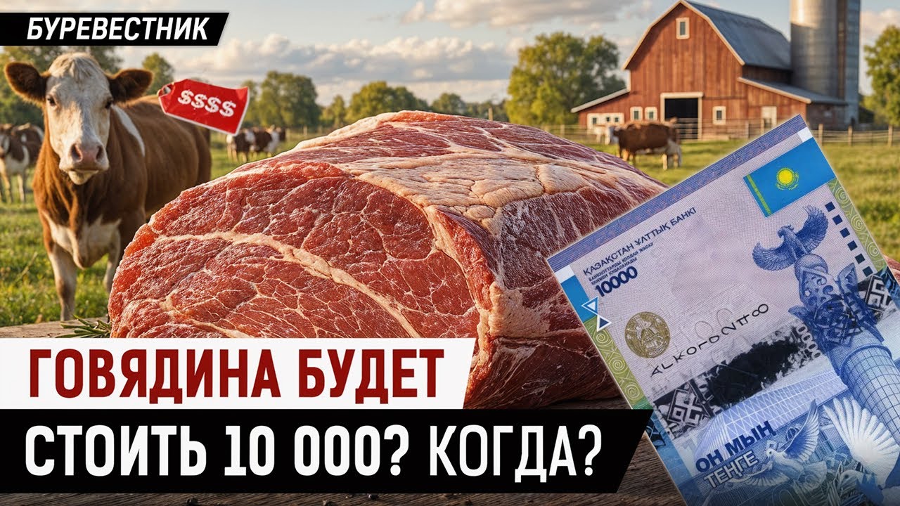Кто виноват, что в Казахстане так подорожало мясо? Подешевеет ли оно?