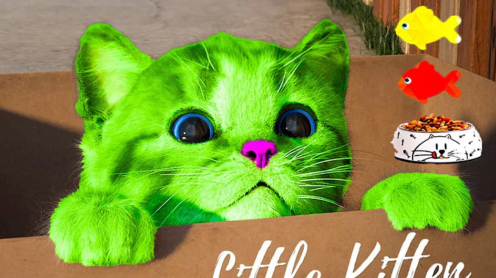 🐱 PLAYFUL LITTLE KITTEN SPECIAL ADVENTURE 🌈  Fun Little Kitten and His Long Journey! 🌟🐾