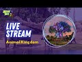 🔴 LIVE: Animal Kingdom Adventures |  Walt Disney World Live Stream