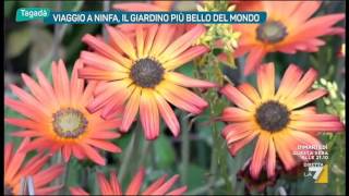 Viaggio a Ninfa, il giardino più bello del mondo