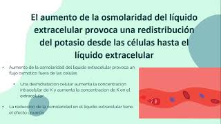 Regulación renal del potasio, el calcio, el fosfato y el magnesio - Daniel Narváez - P3