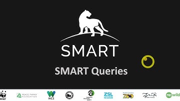 SMART v6 Creating and adding Gridded Queries to a Report