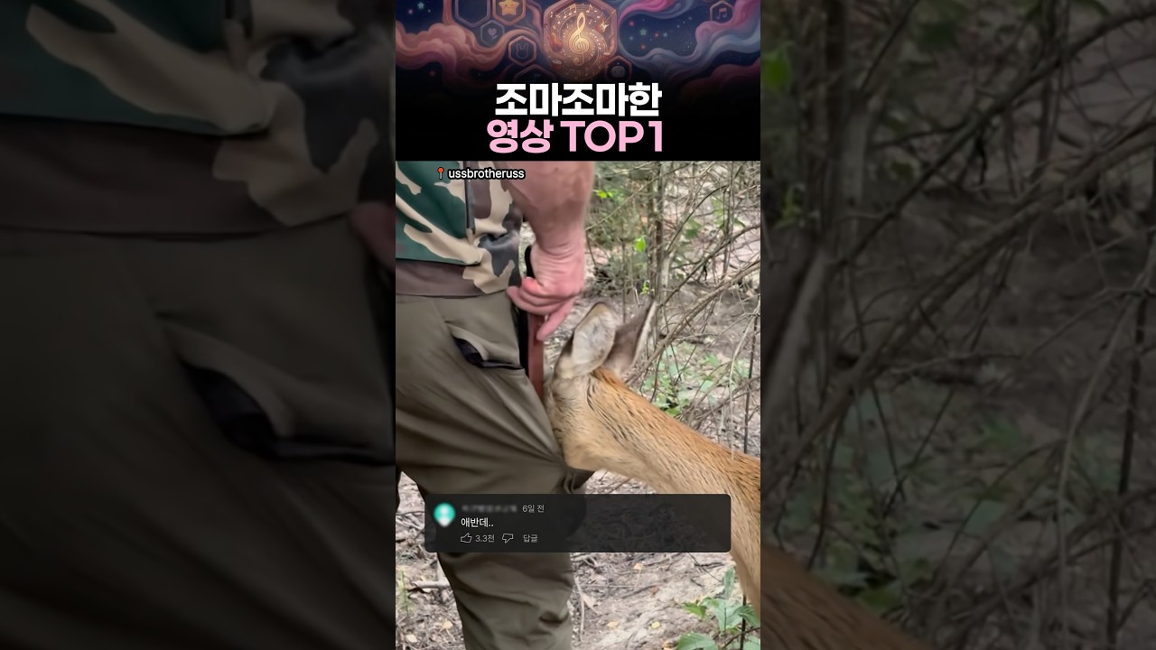 조마조마한 영상 TOP1