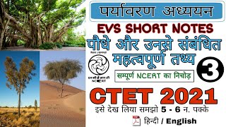 CTET 2021 Environmental studies | पौधे और उनसे संबंधित महत्वपूर्ण तथ्य | सम्पूर्ण NCERT का निचोड़ |