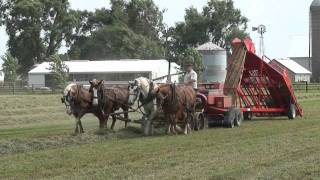 Baling Hay With Horses and Norden Mfg 1534 Hay Accumulator