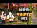 Качели и война на сервере 1.16.5 MineShield #37 Ванильное Выживание