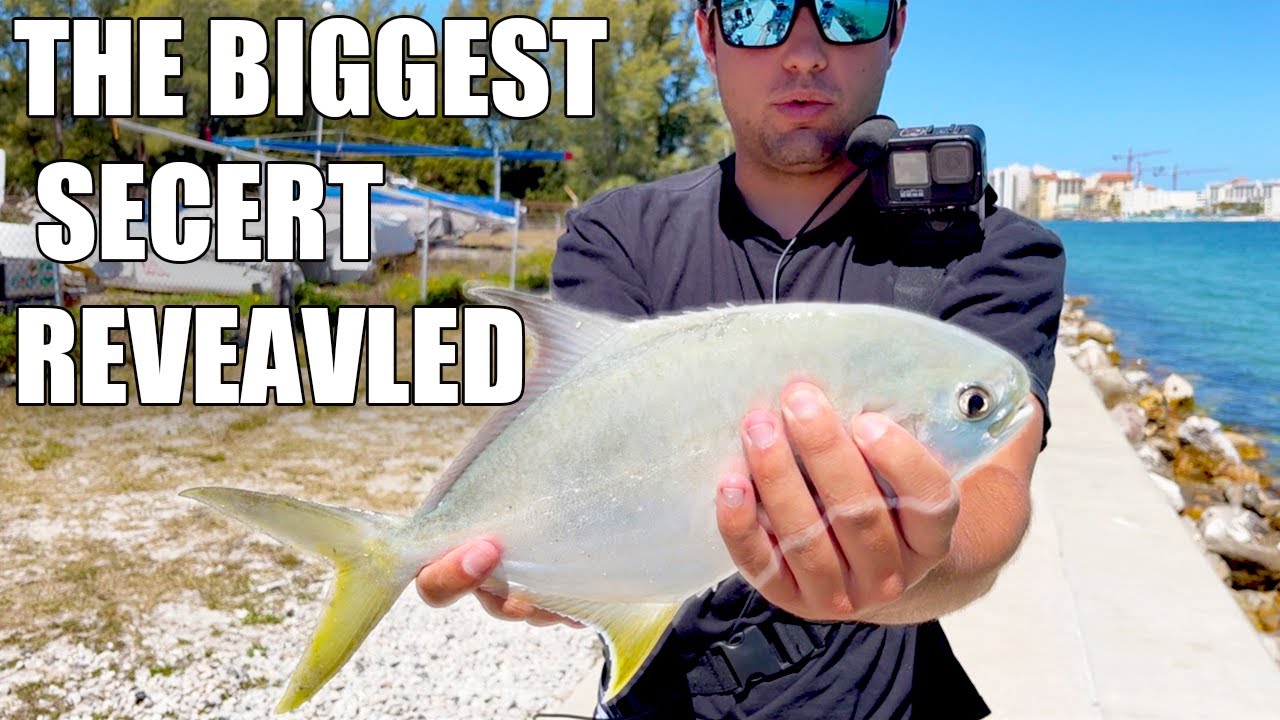 How To Catch Pompano The BEST WAY No BAIT NEEDED Fishing in Tampa