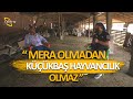 "Mera Olmadan Küçükbaş Hayvancılık Olmaz" - Koyuncu