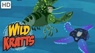 Wild Kratts  When Animals Defend Themselves: Survival of the Fittest