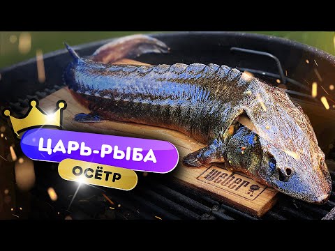 🌟ОСЁТР на гриле 🐋| Как приготовить царь-рыбу горячего копчения?