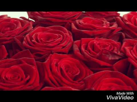 اغنيه خليني اني وياج 1 لا تفوتكم 