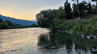 Kova Kova İndirdiler Yazıya - Neşet Ertaş Resimi