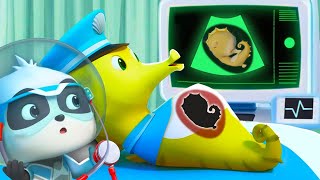 Download Lagu Baby Seahorse is Born | Super Rescue Team | Educational Cartoons | BabyBus TV MP3 Download Lagu Baby Seahorse is Born | Super Rescue Team | Educational Cartoons | BabyBus TV MP3