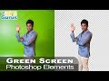 Photoshop Elements Green Screen Removal: Cut Out Image