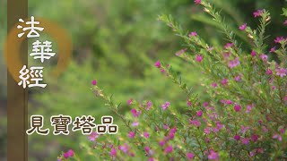 【靜思妙蓮華】法華經見寶塔品 - 變土迎賓 華藏淨界 - 20221028 第1273集