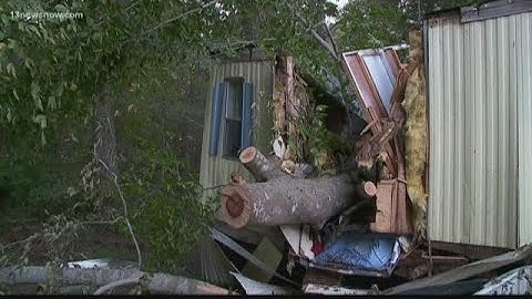 Support for family after tree falls on home