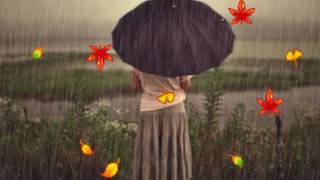 Музыка Осеннего Дождя