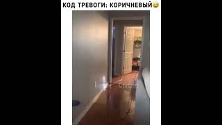 код тревоги коричневый