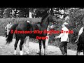 5 reasons ruffian brokedown